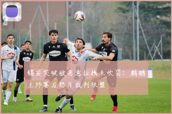 锡安突破被恶意拉拽未吹罚：鹈鹕主帅赛后怒斥裁判联盟